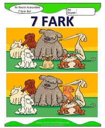 İki Resim Arasındaki Farkı Bul Etkinliği